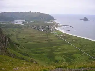 Bleik
