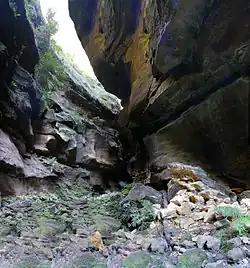 Neates Glen, Blackheath, Blue Mountains à 33°&nbsp;43′&nbsp;24,9″&nbsp;S, 150°&nbsp;17′&nbsp;08,8″&nbsp;E.