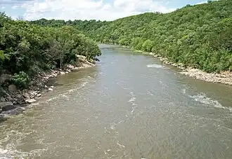 Les grands cours d'eau (Blue Earth river, Minnesota) : compartimentage naturel des forêts mais également corridors (vecteurs d'arbres et bois flottants comme de propagules). Les gués permettent la traversée des espèces terrestres en période de basses eaux