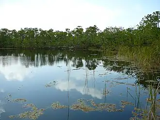 Image illustrative de l’article Blue Hole (Floride)