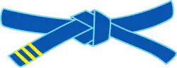 Ceinture bleu troisième cap
