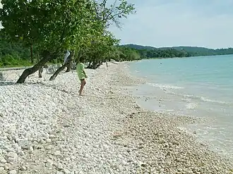 Bluefields (Jamaïque)