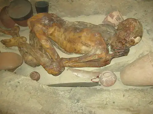 Image illustrative de l’article Momies prédynastiques de Gebelein