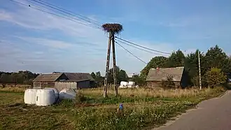 Psary (Pułtusk)