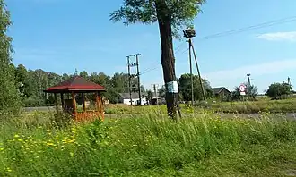 Nowy Szelków