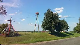 Woryny