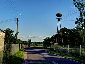 Borki (Radzymin)