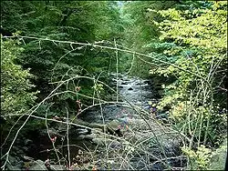La Bode, rivière du Hartz.