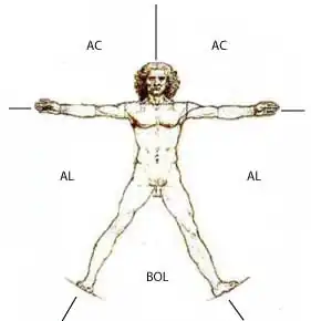 Zones du corps.
