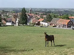 Boeschepe.