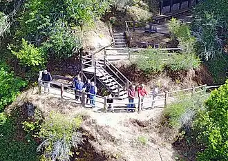 Image illustrative de l’article Bohemian Grove