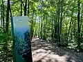 Sentier pédestre