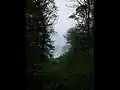 Le bois des Moutiers débouche sur la mer.
