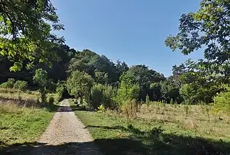Photographie en couleurs d'une grande pelouse naturelle parsemée d'arbres ; bois en arrière-plan.