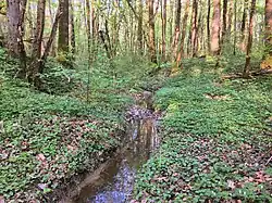 Le nant de Pregny.