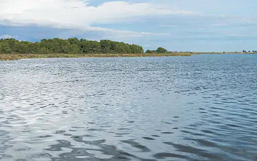 Étang de Vic.