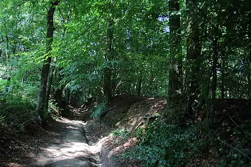 Le GR VA dans le Pottelbergbos&nbsp;(nl)