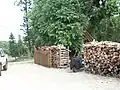 Bois de Faux-gaïac servant d'énergie pour l'Alambic.