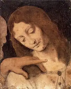 Giovanni Antonio Boltraffio, Tête de saint Jean.