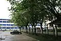 Le parking présidentiel à Bonanjo à Douala