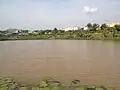 Le Lac à Bonamoussadi.