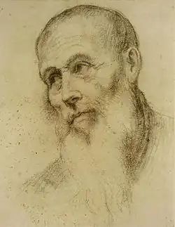 Tête d'homme barbu, XVIe siècle Bonifazio Veronese