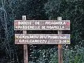 Vers le GR 20.