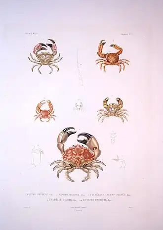 Description de cette image, également commentée ci-après