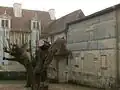 La cour et l'aile.