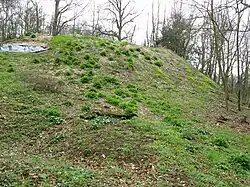 La motte féodale