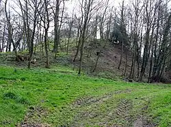 La motte féodale.