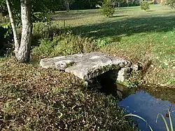 Le pont Coligny.
