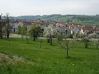 Bonstetten (Zurich)