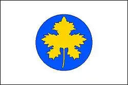 Drapeau de Boršice