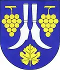 Blason de Boršice