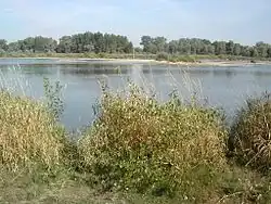 Bord de Loire