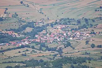 Borino