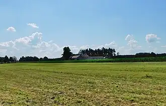 Borki (Siedlce)