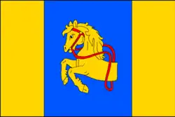 Drapeau de Borotín