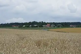 Borovno