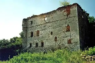 Borów Polski