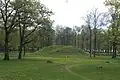Borrehaugen