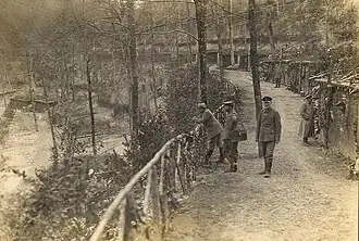 Borrisewald,