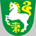 Blason de Borušov