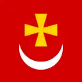 Drapeau de Borzna