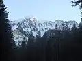 Le Gros Ferrand (alt. 2&nbsp;401&nbsp;m) vu depuis la forêt de Boscodon.