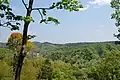 Vue des collines de Bōsō depuis les restes du château de Mariyatsu à Kisarazu.