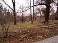 Vue du jardin au mois de février
