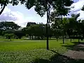 Le jardin botanique.