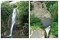 Vues de la cascade du jardin botanique